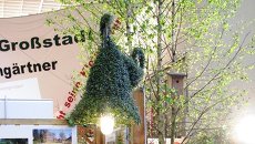 Международная сельскохозяйственная выставка Зеленая неделя в Берлине, архивное фото Международная сельскохозяйственная выставка Зеленая неделя в Берлине, архивное фото