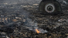 На месте крушения малайзийского самолета Boeing 777 в районе города Шахтерск Донецкой области На месте крушения малайзийского самолета Boeing 777 в районе города Шахтерск Донецкой области