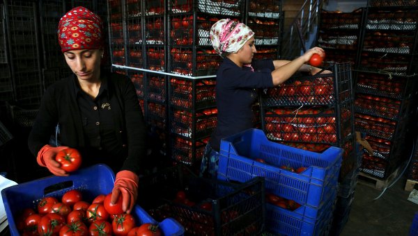 Россия приняла первые жёсткие меры в связи с убийством российского посла Россия приняла первые жёсткие меры в связи с убийством российского посла