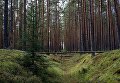 Природный заказник Березовые острова на Финском заливе Природный заказник Березовые острова на Финском заливе
