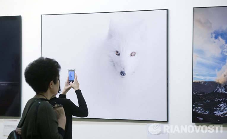 Посетители на фотовыставке, которая открылась в рамках III Общероссийского фестиваля природы Первозданная Россия в Центральном Доме Художника в Москве Посетители на фотовыставке, которая открылась в рамках III Общероссийского фестиваля природы Первозданная Россия в Центральном Доме Художника в Москве