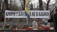 Барабаны, чучело Яценюка и клетки с кроликами на митинге у Рады в Киеве Барабаны, чучело Яценюка и клетки с кроликами на митинге у Рады в Киеве