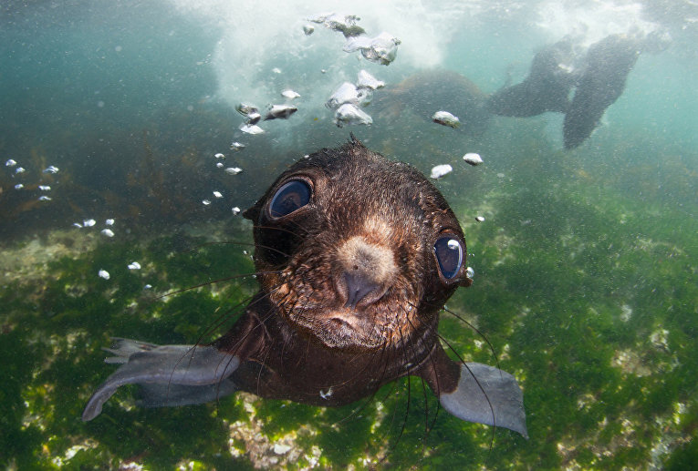 Шорт-лист Sony World Photography Awards. Фотограф Andrey Narchuk, Россия Шорт-лист Sony World Photography Awards. Фотограф Andrey Narchuk, Россия