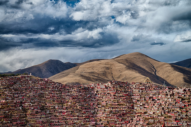Шорт-лист Sony World Photography Awards. Фотограф Attila Balogh, Венгрия Шорт-лист Sony World Photography Awards. Фотограф Attila Balogh, Венгрия
