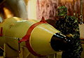 Военнослужащий проверяет баллистическую ракету перед тестовыми испытаниями в Иране Военнослужащий проверяет баллистическую ракету перед тестовыми испытаниями в Иране