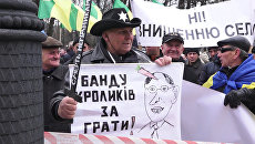 Банду кроликов за решетку – фермеры вышли на митинг против Яценюка в Киеве Банду кроликов за решетку – фермеры вышли на митинг против Яценюка в Киеве