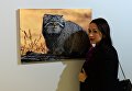 Открытие выставки Best of Russia 2015 Открытие выставки Best of Russia 2015
