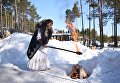 Создание самого большого Ловца снов Создание самого большого Ловца снов