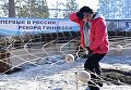 Шаманка Бибигуль плетет самый большой в мире амулет Ловец снов Шаманка Бибигуль плетет самый большой в мире амулет Ловец снов