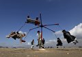 Афганские мальчики катаются на карусели во время празднования афганского Нового года в Кабуле Афганские мальчики катаются на карусели во время празднования афганского Нового года в Кабуле