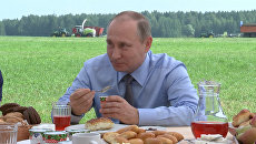 Путин попробовал йогурт из клюквы на обеде с фермерами в Тверской области Путин попробовал йогурт из клюквы на обеде с фермерами в Тверской области