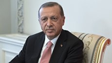 Президент Турции Реджеп Тайип Эрдоган во время встречи с президентом России Владимиром Путиным в Санкт-Петербурге. 9 августа 2016 Президент Турции Реджеп Тайип Эрдоган во время встречи с президентом России Владимиром Путиным в Санкт-Петербурге. 9 августа 2016