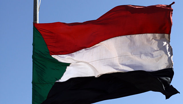 Посол Судана предложил офтальмологам из России открыть клинику в его стране