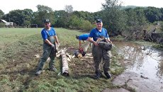 Спасатели помогают жителям Приморья. Архивное фото Спасатели помогают жителям Приморья. Архивное фото