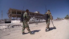 Сирийские саперы за работой: поиск и обезвреживание мин в Алеппо Сирийские саперы за работой: поиск и обезвреживание мин в Алеппо