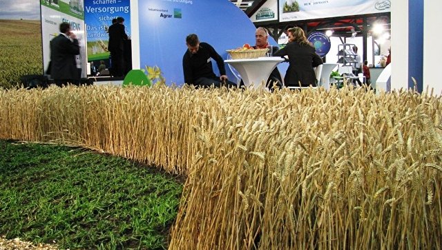 Компании из 10 стран заинтересовались закупками донской сельхозпродукции