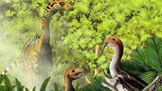 So the artist imagined adult Ceratosaurus herbivores and carnivores cubs