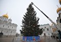 Украшение Новогодней елки на Соборной площади Кремля Украшение Новогодней елки на Соборной площади Кремля