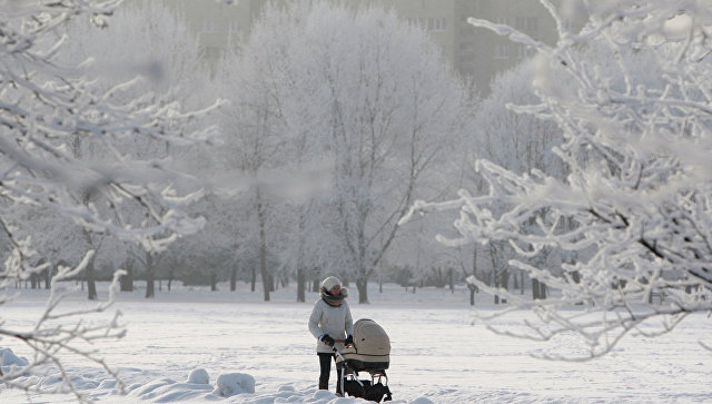 В Белоруссии почти 50 человек умерло от морозов с начала зимы
