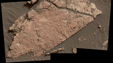 Потрескавшаяся глина, найденная марсоходом Curiosity Потрескавшаяся глина, найденная марсоходом Curiosity
