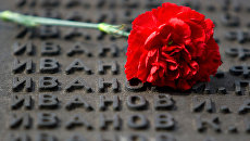 Гвоздика на мемориале участникам ВОВ. Архивное фото Гвоздика на мемориале участникам ВОВ. Архивное фото