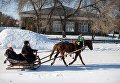 Празднование Масленицы в историко-культурном музее-заповеднике в поселке Большеречье в Омской области Празднование Масленицы в историко-культурном музее-заповеднике в поселке Большеречье в Омской области