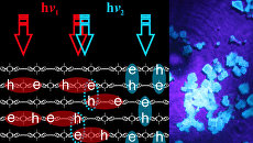 Recording information in the quasiparticles in the crystal, created by Russian scientists