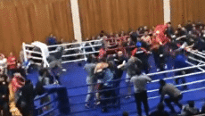 В Дагестане бой по смешанным единоборствам закончился массовой дракой В Дагестане бой по смешанным единоборствам закончился массовой дракой