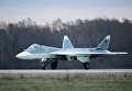 Многоцелевой истребитель пятого поколения Т-50 в подмосковном Жуковском Многоцелевой истребитель пятого поколения Т-50 в подмосковном Жуковском