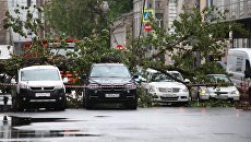 Последствия шквалистого ветра в Москве. 29 мая 2017 Последствия шквалистого ветра в Москве. 29 мая 2017