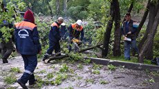Ликвидация последствий урагана в Москве. Архивное фото Ликвидация последствий урагана в Москве. Архивное фото
