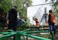 Работники коммунальных служб рубят ветки поваленных деревьев в одном из дворов Москвы Работники коммунальных служб рубят ветки поваленных деревьев в одном из дворов Москвы