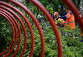 Работники коммунальных служб отпиливают ветки поваленных деревьев в одном из дворов Москвы Работники коммунальных служб отпиливают ветки поваленных деревьев в одном из дворов Москвы