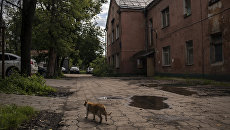 Реновация жилья в Москве. Архивное фото Реновация жилья в Москве. Архивное фото