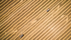 Уборка пшеницы. Архивное фото Уборка пшеницы. Архивное фото
