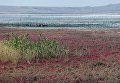 Чокракское озеро на Керченском полуострове в Крыму Чокракское озеро на Керченском полуострове в Крыму