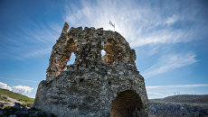 Каламита Каламита