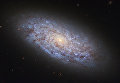 Галактика NGC 5949 в созвездии Дракона, «нарушающая» законы распределения темной материи Галактика NGC 5949 в созвездии Дракона, «нарушающая» законы распределения темной материи