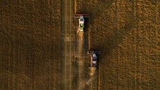 Уборка урожая овса в Новосибирской области. Архивное фото Уборка урожая овса в Новосибирской области. Архивное фото