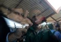 Экс-президент Грузии, бывший губернатор Одесской области Михаил Саакашвили с сыном Николозом в вагоне поезда на железнодорожном вокзале в польском Пшемышле Экс-президент Грузии, бывший губернатор Одесской области Михаил Саакашвили с сыном Николозом в вагоне поезда на железнодорожном вокзале в польском Пшемышле