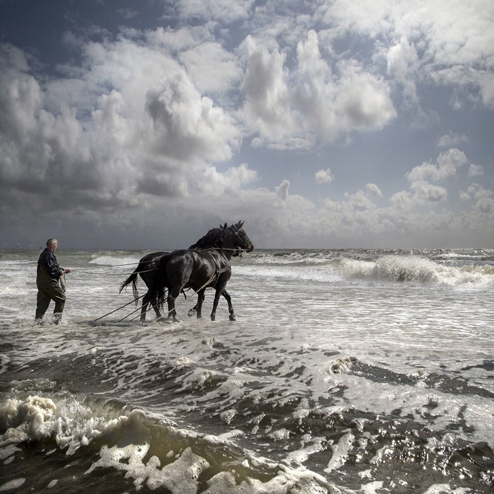 Работа фотографа из Нидерландов Saskia Boelsums Dutch Landscape в категории Пейзаж/природа, вошедшая в шорт-лист Felix Schoeller Photo Award 2017 Работа фотографа из Нидерландов Saskia Boelsums Dutch Landscape в категории Пейзаж/природа, вошедшая в шорт-лист Felix Schoeller Photo Award 2017