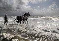 Работа фотографа из Нидерландов Saskia Boelsums Dutch Landscape в категории Пейзаж/природа, вошедшая в шорт-лист Felix Schoeller Photo Award 2017 Работа фотографа из Нидерландов Saskia Boelsums Dutch Landscape в категории Пейзаж/природа, вошедшая в шорт-лист Felix Schoeller Photo Award 2017
