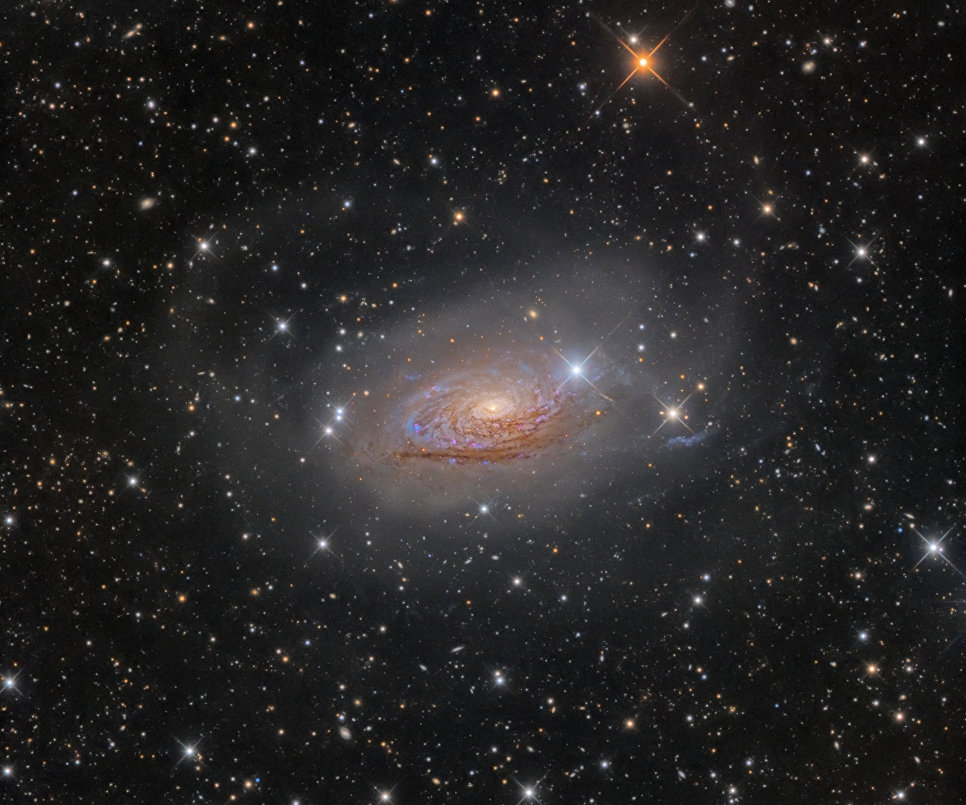 Снимок фотографа Олега Брызгалова из Украины M63 Star Streams and the Sunflower Galaxy, победивший в категории Галактики в фотоконкурсе Insight Astronomy Photographer of the Year 2017 Снимок фотографа Олега Брызгалова из Украины M63 Star Streams and the Sunflower Galaxy, победивший в категории Галактики в фотоконкурсе Insight Astronomy Photographer of the Year 2017