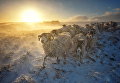 Работа участника конкурса Weather Photographer of the Year 2017 Работа участника конкурса Weather Photographer of the Year 2017