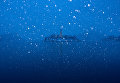 Работа участника конкурса Weather Photographer of the Year 2017 Работа участника конкурса Weather Photographer of the Year 2017