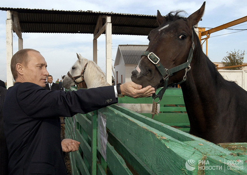 Президент РФ Владимир Путин во время посещения животноводческого комплекса агрофирмы Николаевская в Саратовской области Президент РФ Владимир Путин во время посещения животноводческого комплекса агрофирмы Николаевская в Саратовской области
