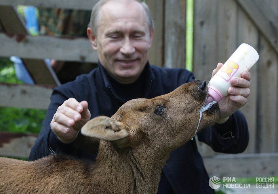 Премьер-министр РФ Владимир Путин во время посещения парка Лосиный остров. 5 июня 2010 Премьер-министр РФ Владимир Путин во время посещения парка Лосиный остров. 5 июня 2010