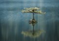 Работа участника фотоконкурса The EPSON International Pano Awards Работа участника фотоконкурса The EPSON International Pano Awards