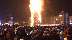 Елка Елка