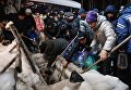 Верующие в Крещенский сочельник набирают святую воду на источнике Святой ключ в Искитимском районе Новосибирской области Верующие в Крещенский сочельник набирают святую воду на источнике Святой ключ в Искитимском районе Новосибирской области